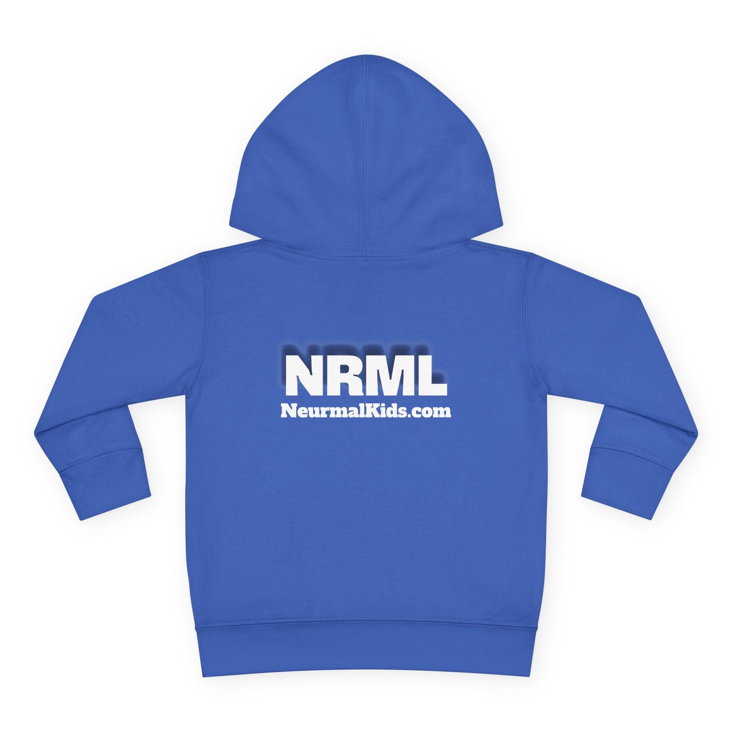 "Celebrate Minds of All Kinds" -Toddler Fleece Hoodie