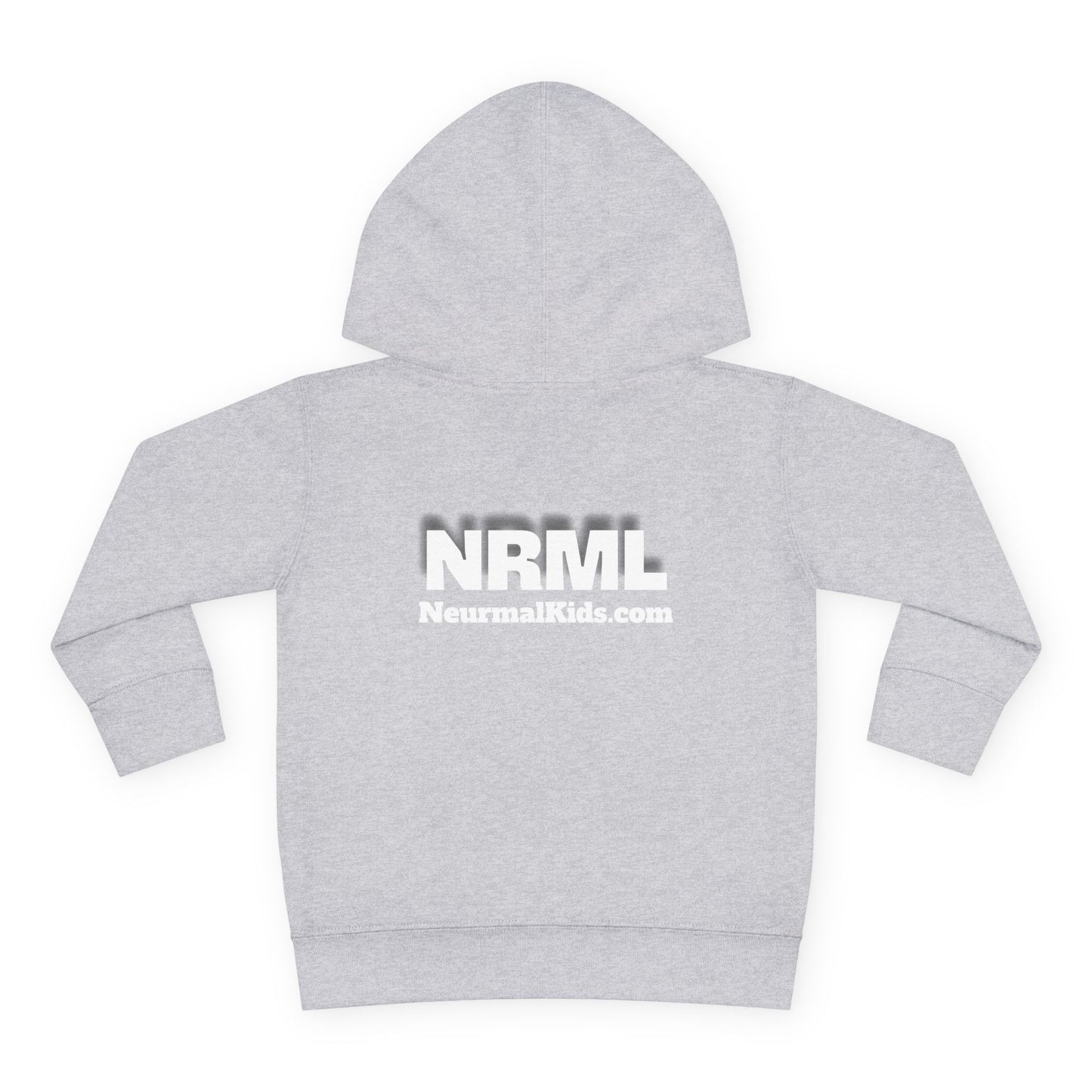 "Celebrate Minds of All Kinds" -Toddler Fleece Hoodie