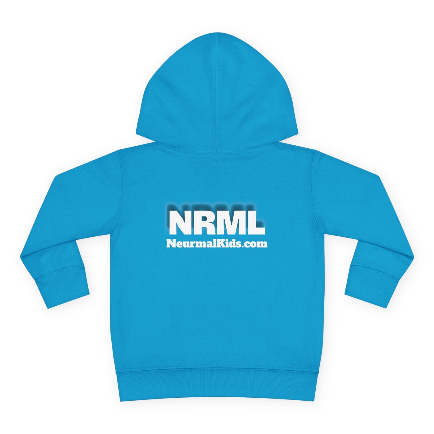 "Celebrate Minds of All Kinds" -Toddler Fleece Hoodie