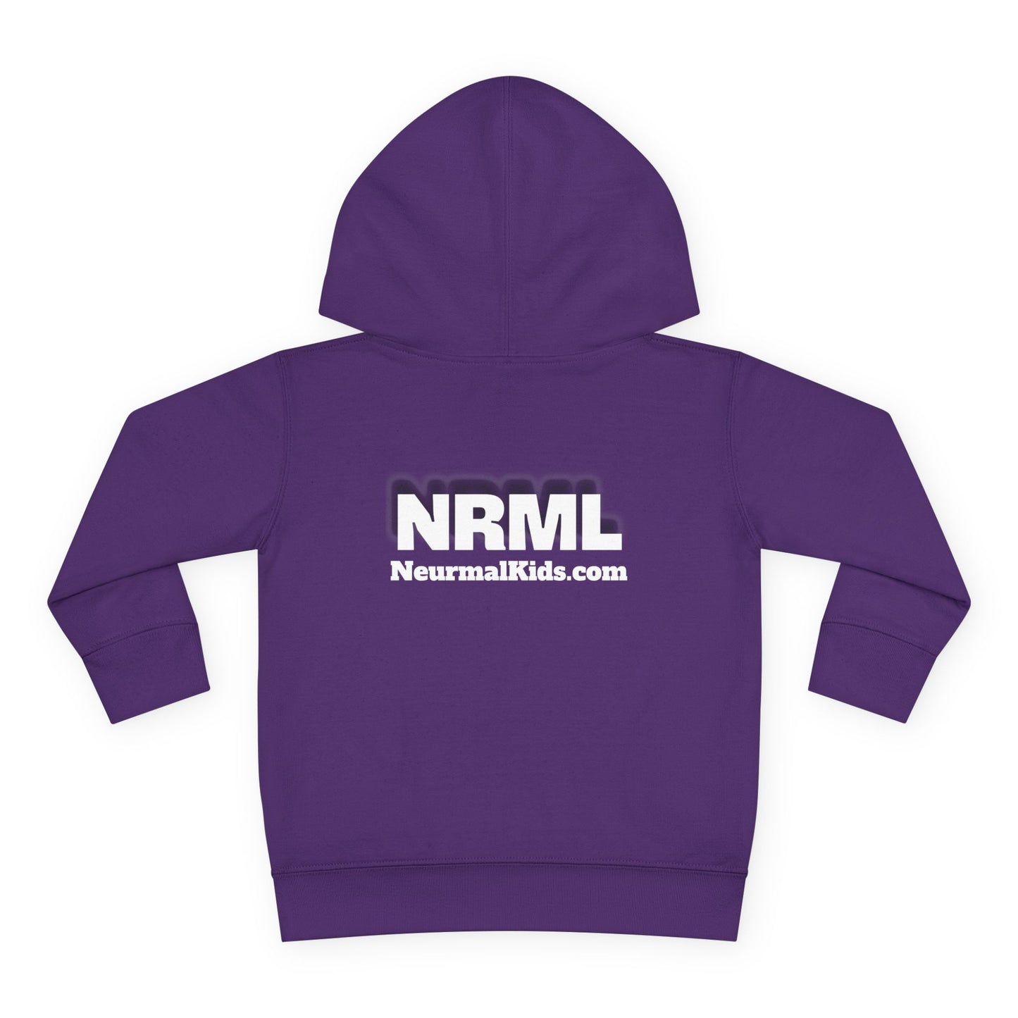 "Celebrate Minds of All Kinds" -Toddler Fleece Hoodie