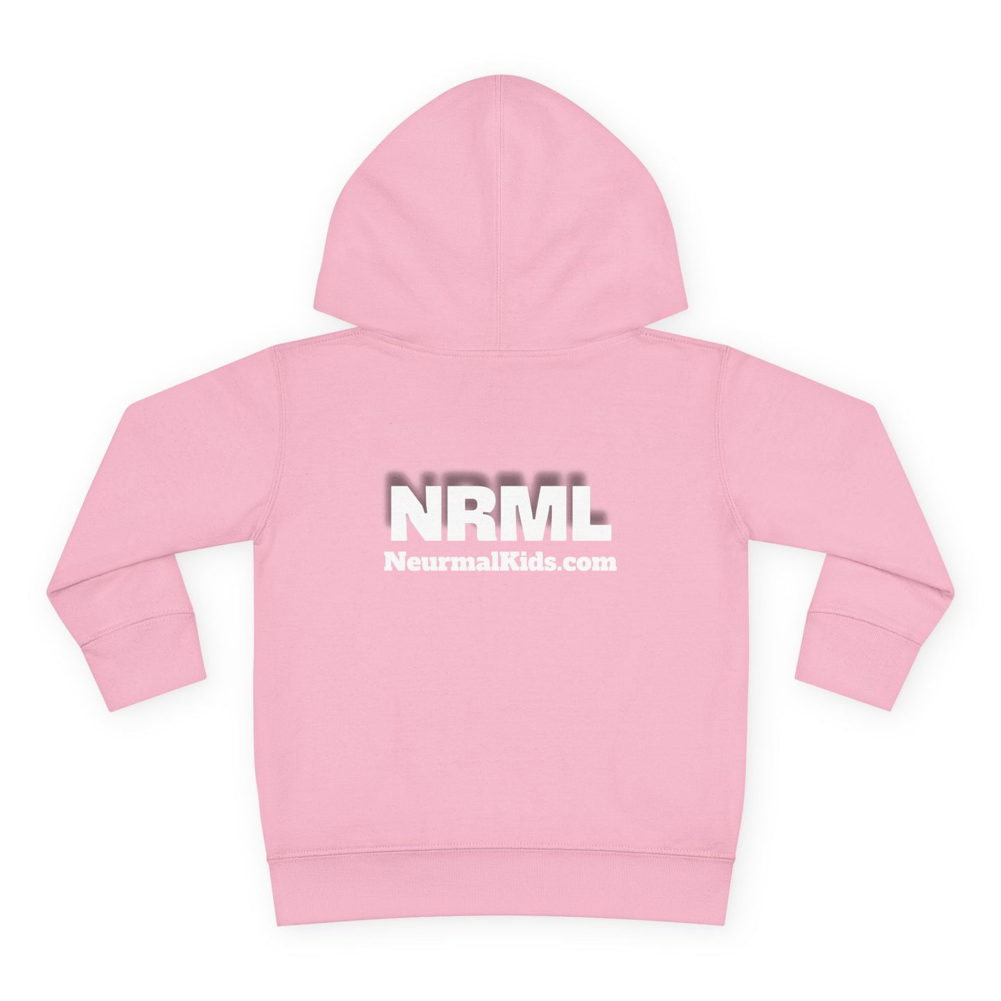"Celebrate Minds of All Kinds" -Toddler Fleece Hoodie