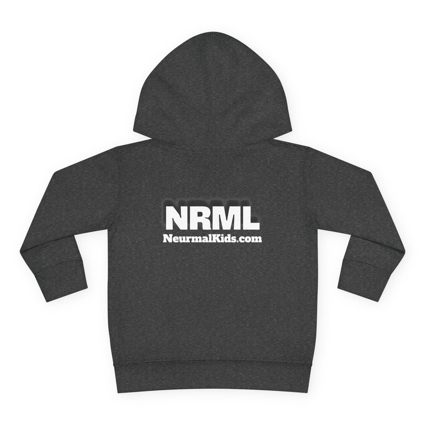"Celebrate Minds of All Kinds" -Toddler Fleece Hoodie